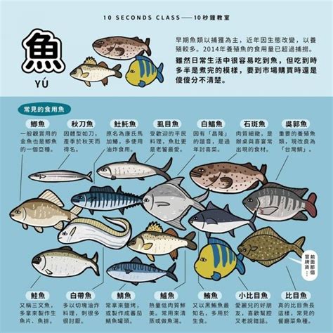 魚排名